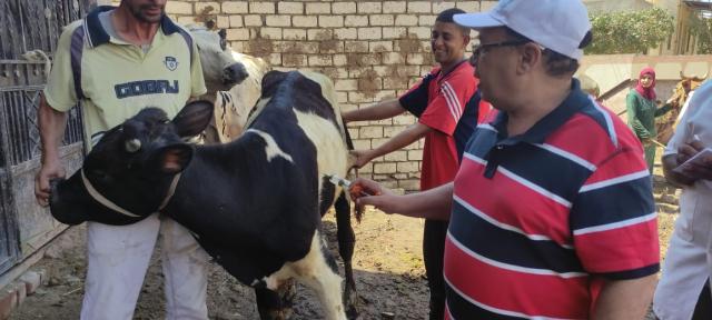النهار نيوز
