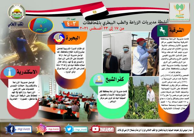 النهار نيوز