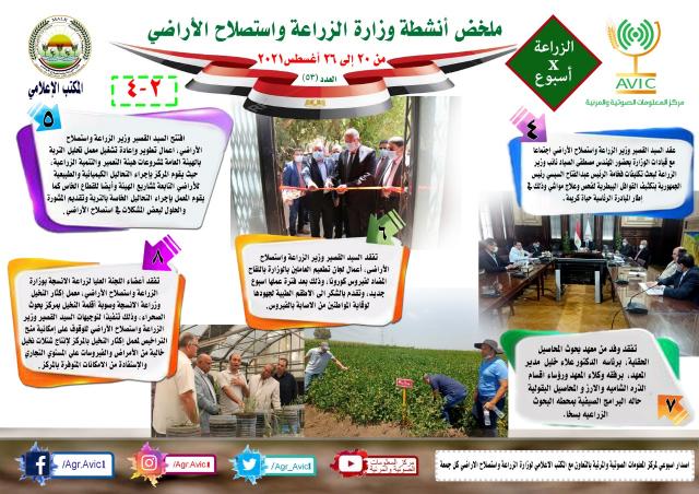 النهار نيوز