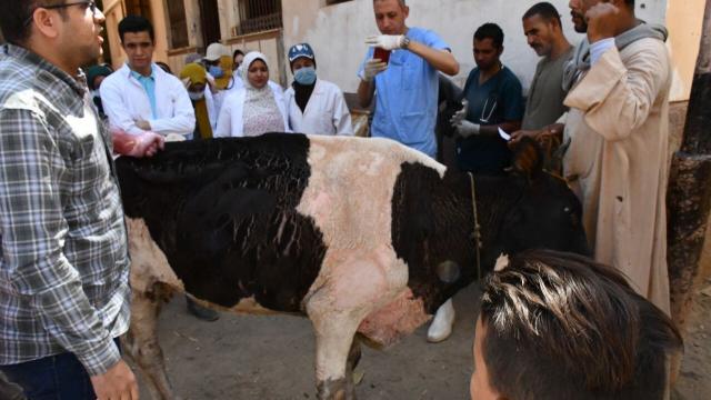 النهار نيوز