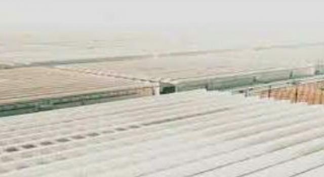النهار نيوز