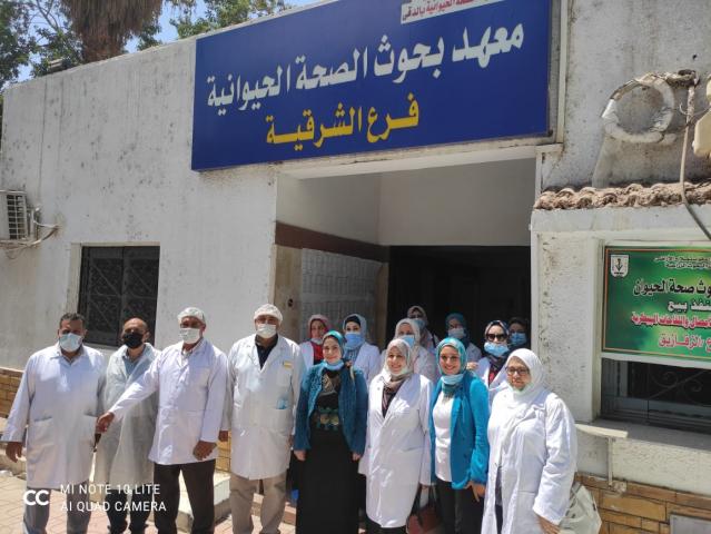 النهار نيوز