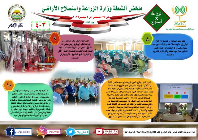 النهار نيوز