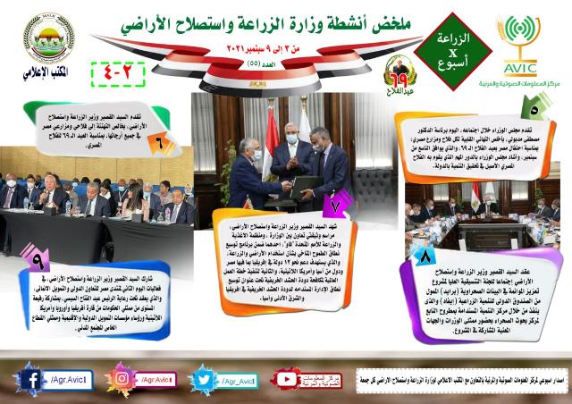 النهار نيوز