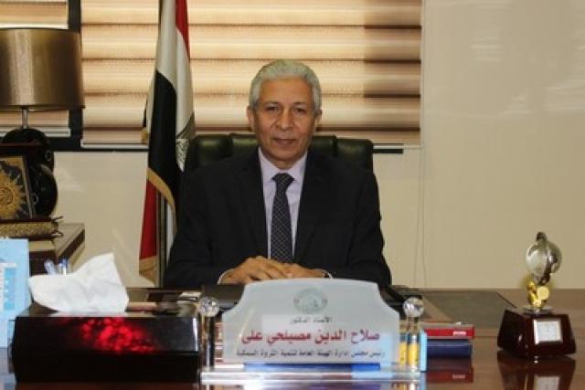 النهار نيوز