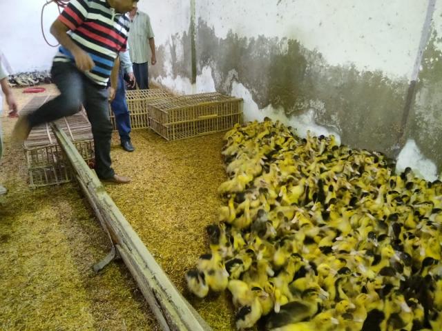النهار نيوز