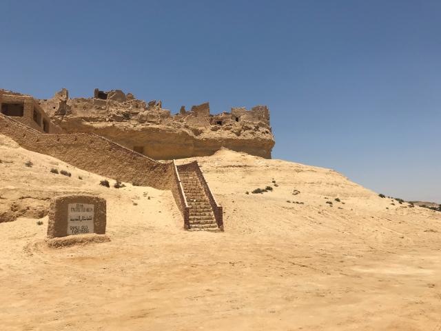 النهار نيوز