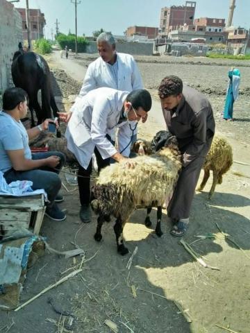 النهار نيوز