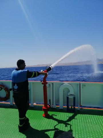 النهار نيوز