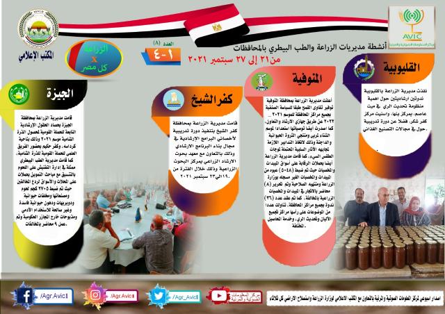 النهار نيوز