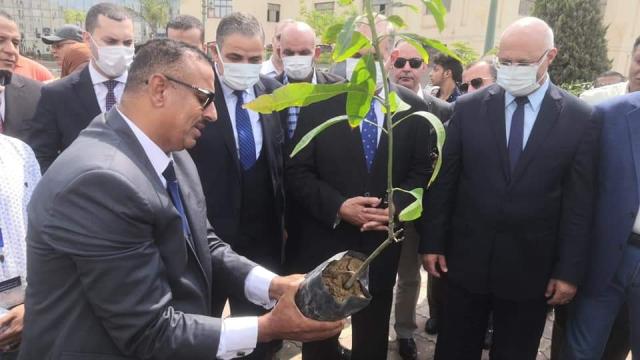 النهار نيوز