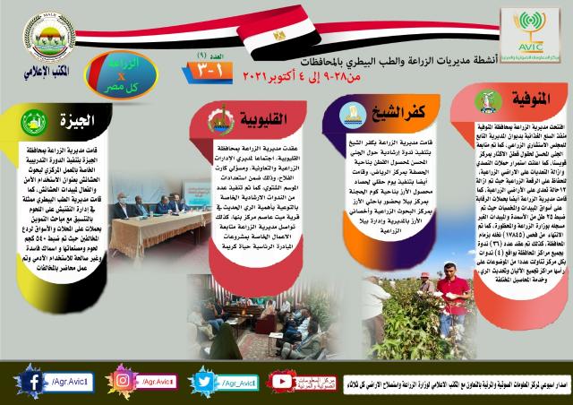 النهار نيوز