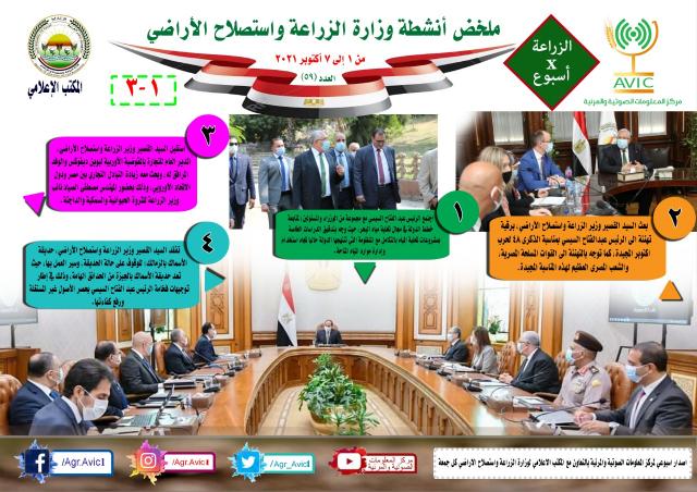 النهار نيوز