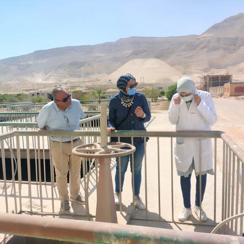 النهار نيوز