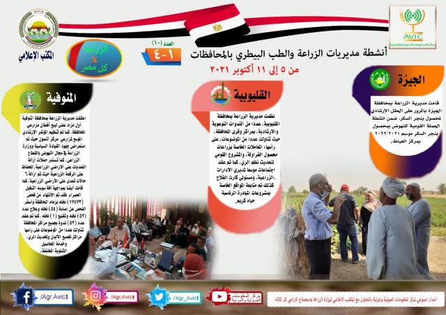 النهار نيوز