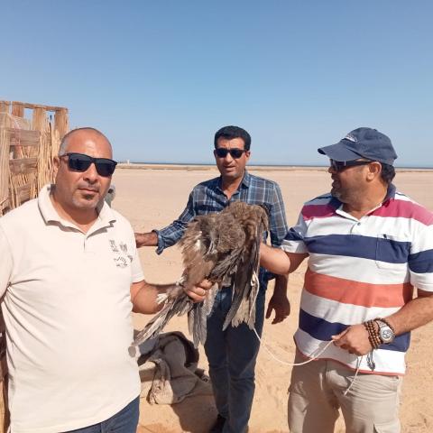 النهار نيوز