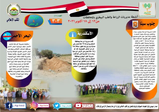 النهار نيوز