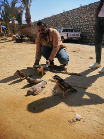 النهار نيوز