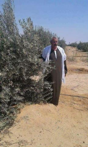 حسين أبو صدام