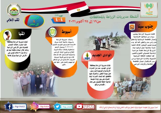 النهار نيوز