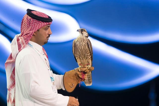 النهار نيوز
