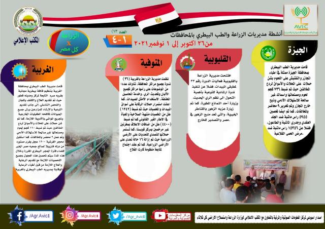 النهار نيوز