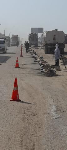 النهار نيوز