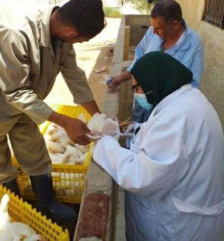النهار نيوز