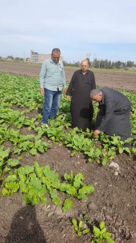 النهار نيوز