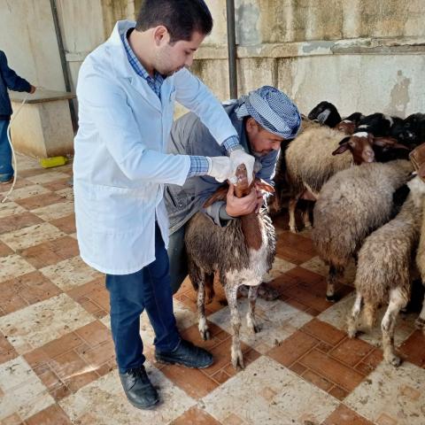 النهار نيوز