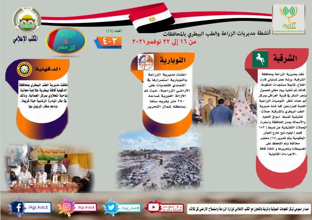 النهار نيوز