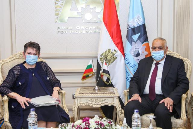 النهار نيوز