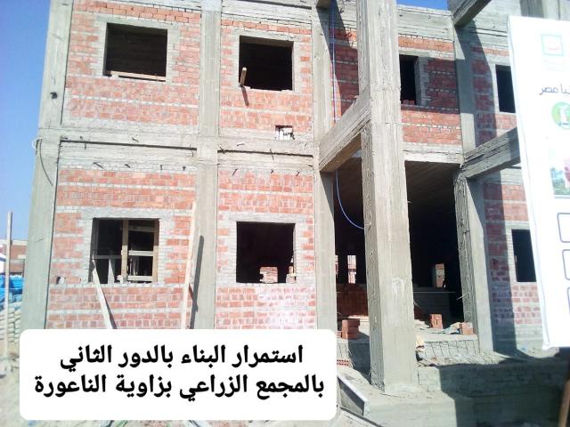 النهار نيوز