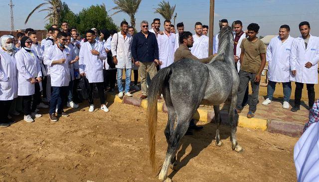 النهار نيوز