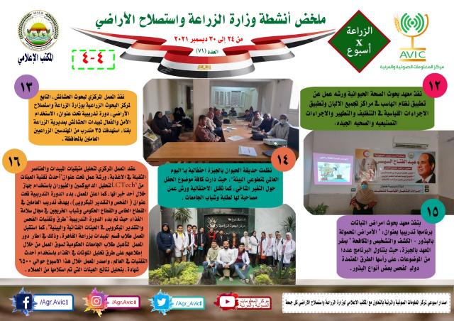 النهار نيوز