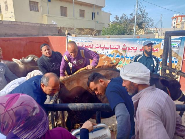 النهار نيوز