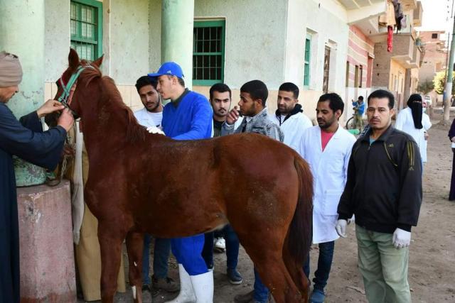 النهار نيوز
