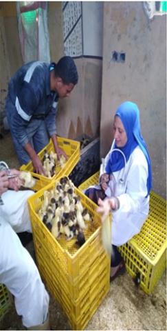النهار نيوز