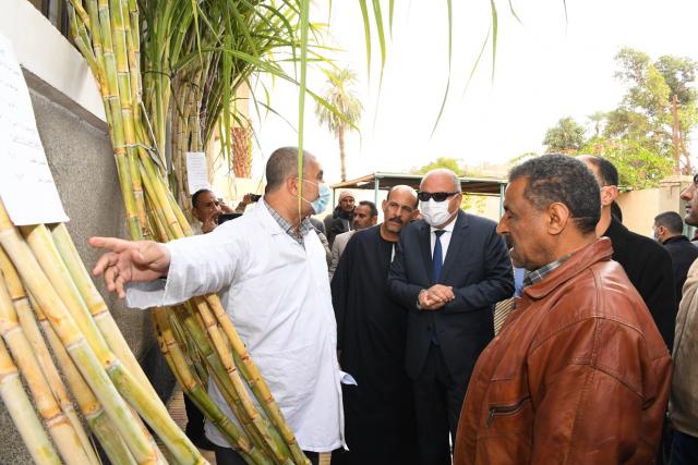 النهار نيوز