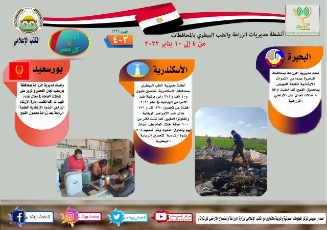 النهار نيوز