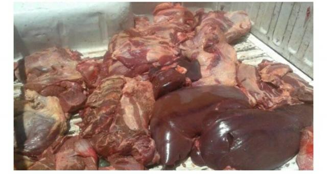 النهار نيوز