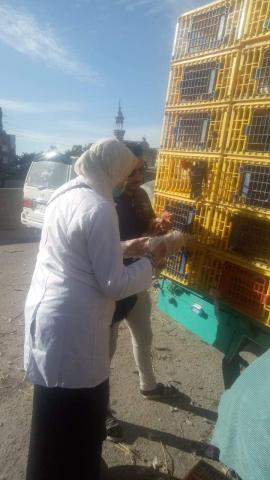 النهار نيوز