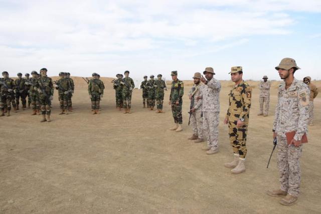 النهار نيوز