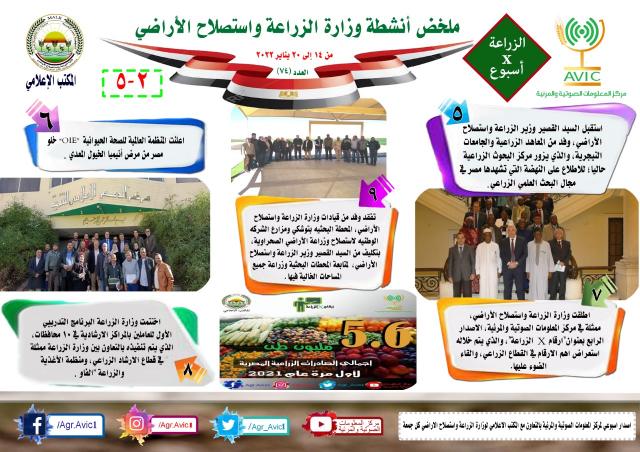 النهار نيوز