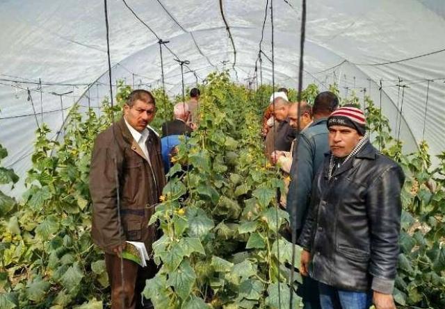 النهار نيوز