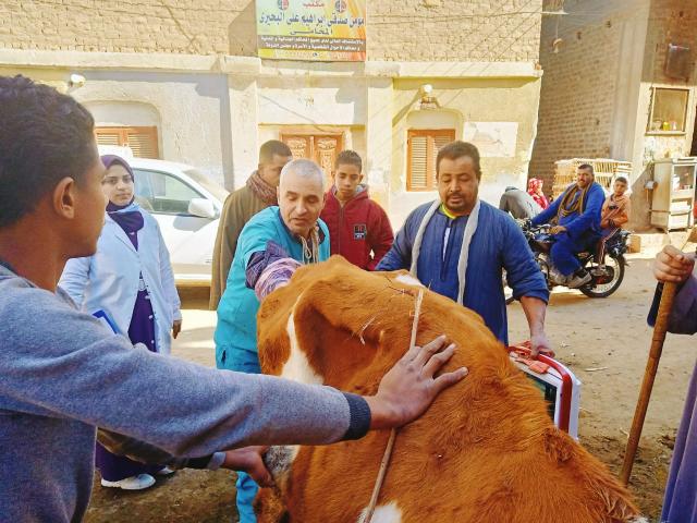 النهار نيوز