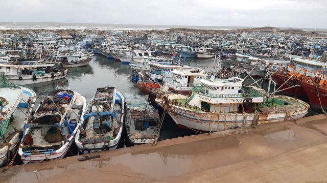 النهار نيوز