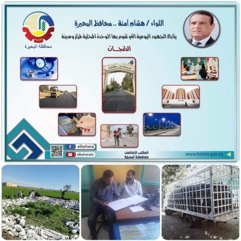 النهار نيوز