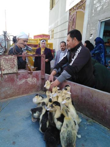 النهار نيوز