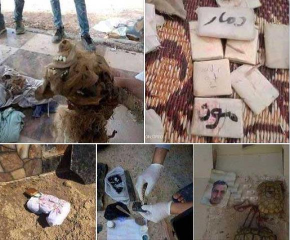 النهار نيوز